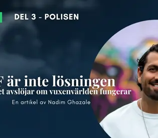 SSPF-fokus del 3: SSPF är inte lösningen - Men det avslöjar om vuxenvärlden fungerar