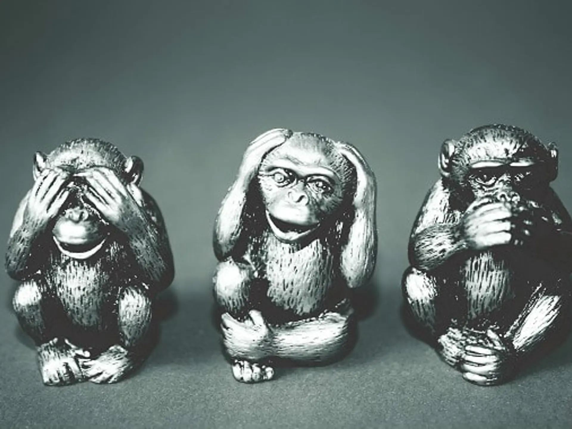 Three Monkeys