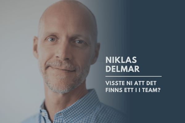 Visste ni att det finns ett I i TEAM?