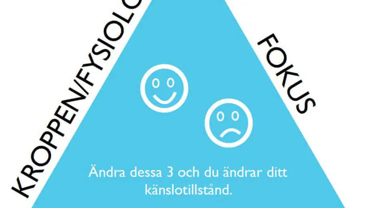 Emotionella triaden
