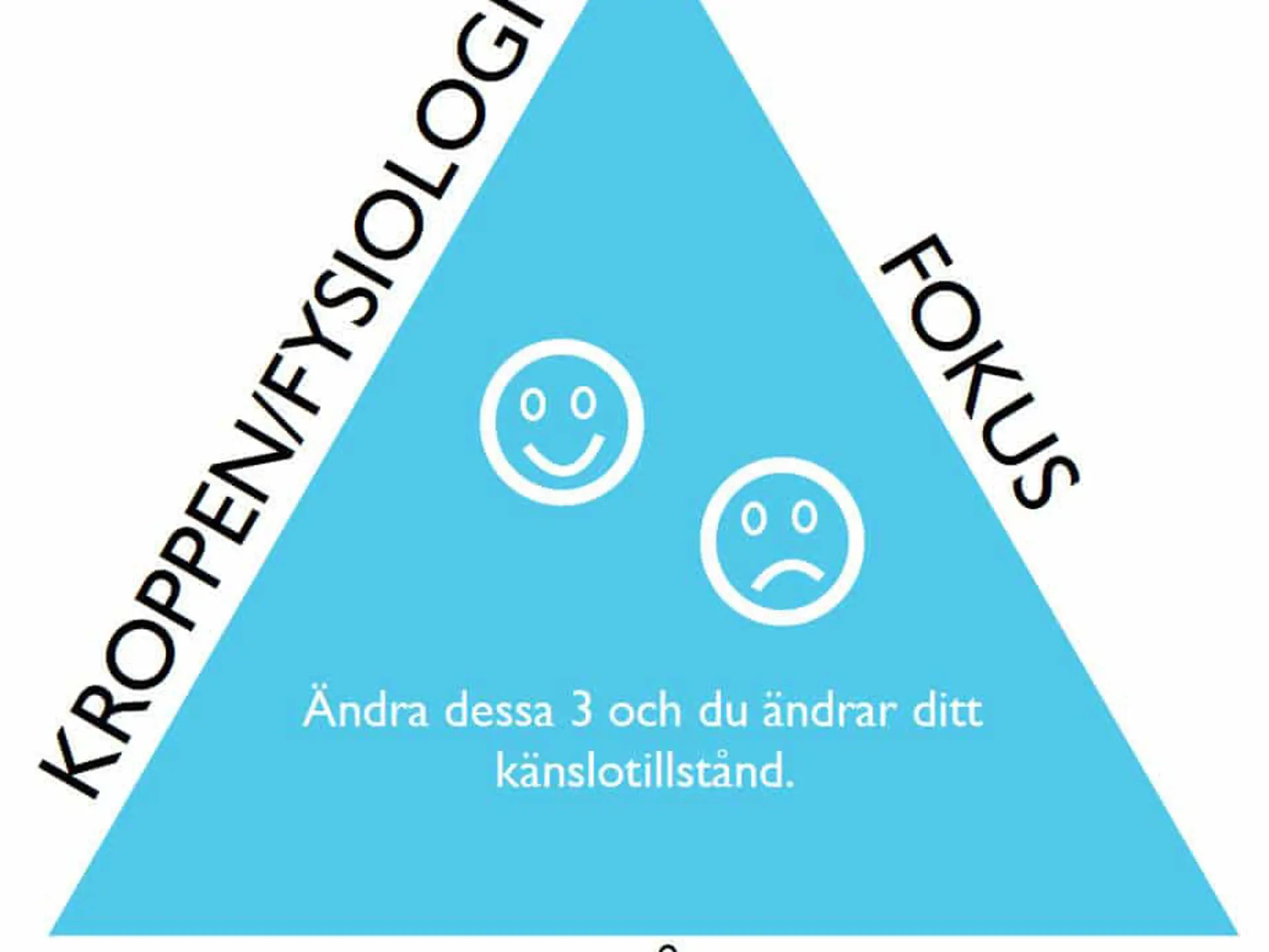 Emotionella triaden