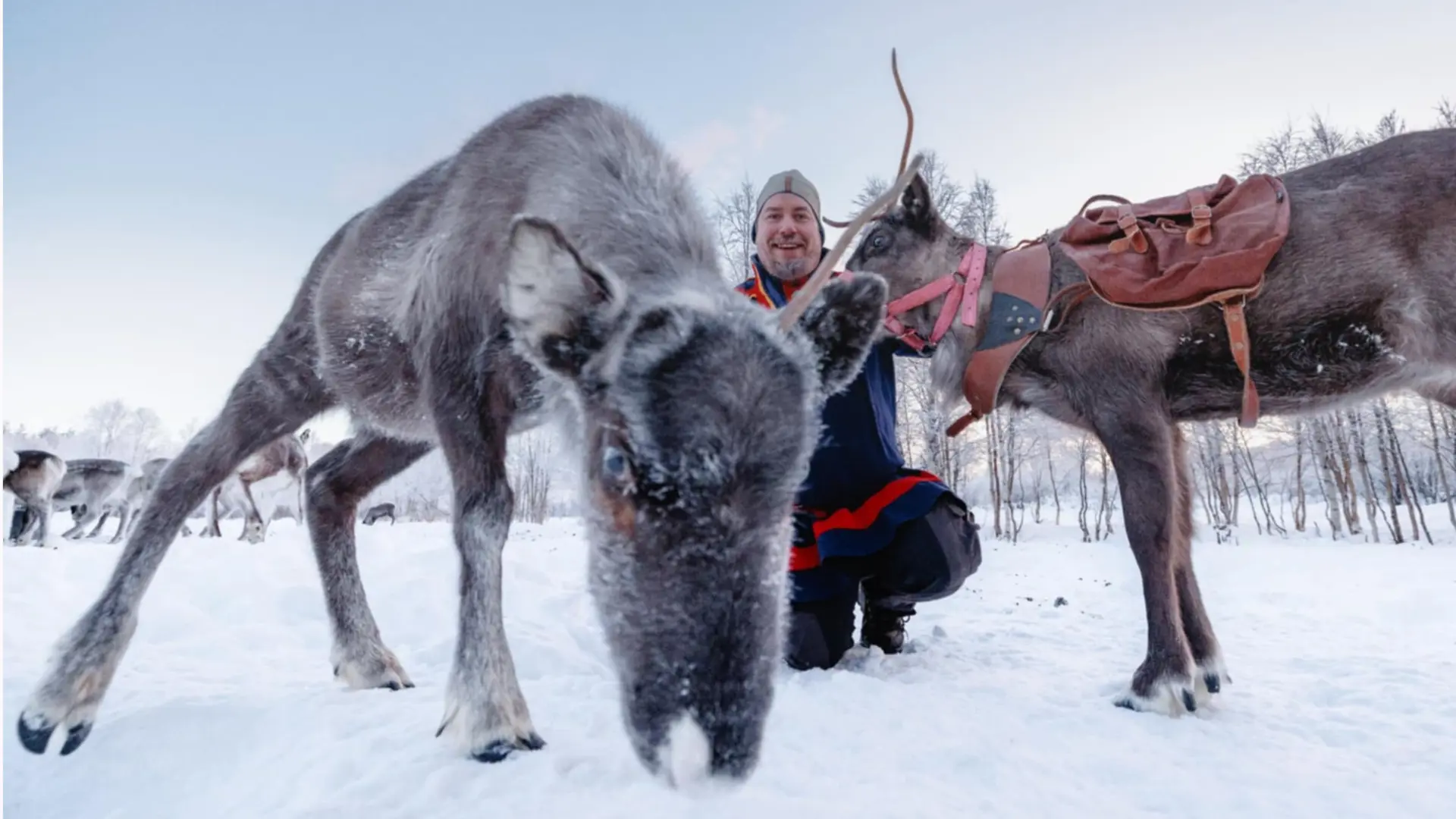 Henrik Andersson - <p data-start="207" data-end="351">Henrik Andersson är renskötare och föreläsare med bred kunskap om samisk kultur, klimatfrågor och urfolksperspektiv</p>