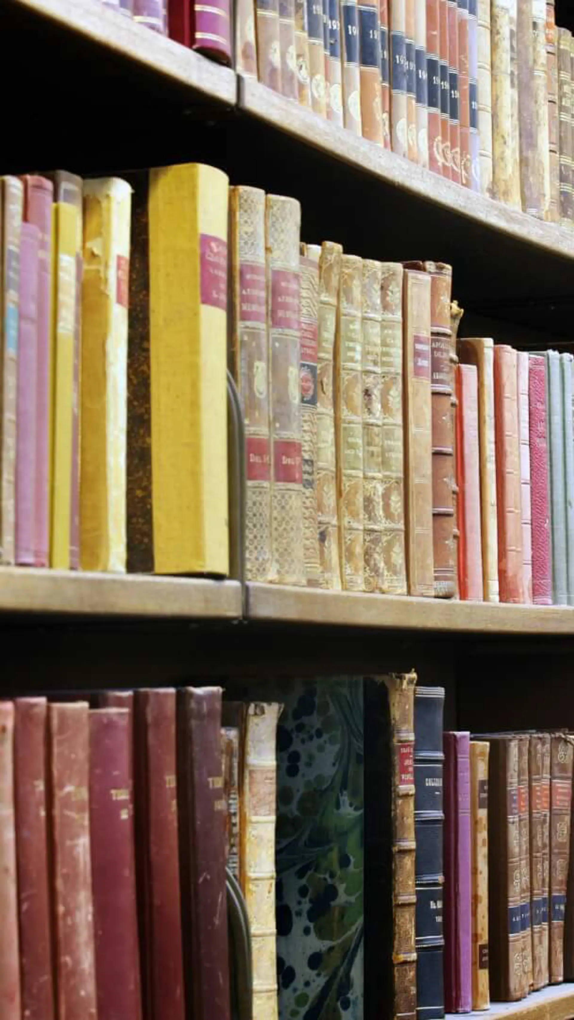 Biblioteksföreläsning