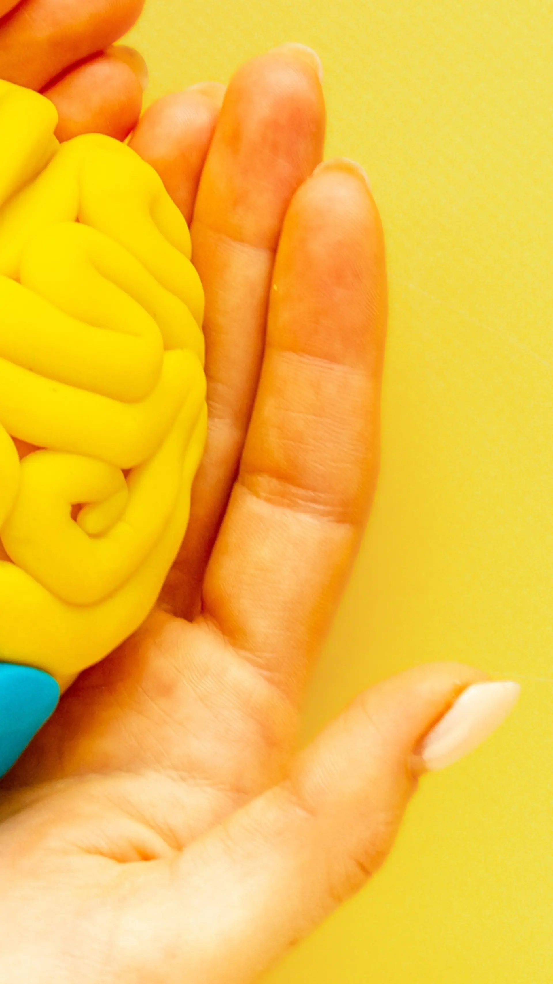 NPF Neuropsykiatriska Funktionsnedsättningar